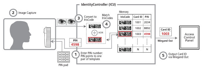 diagram_Mode_11_PIN