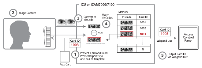 diagram_Mode_11_prox