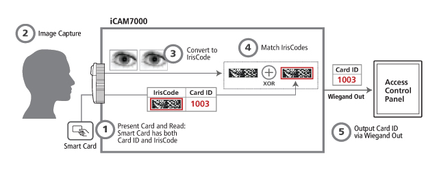 integration_new_2