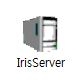 IrisServer_icon