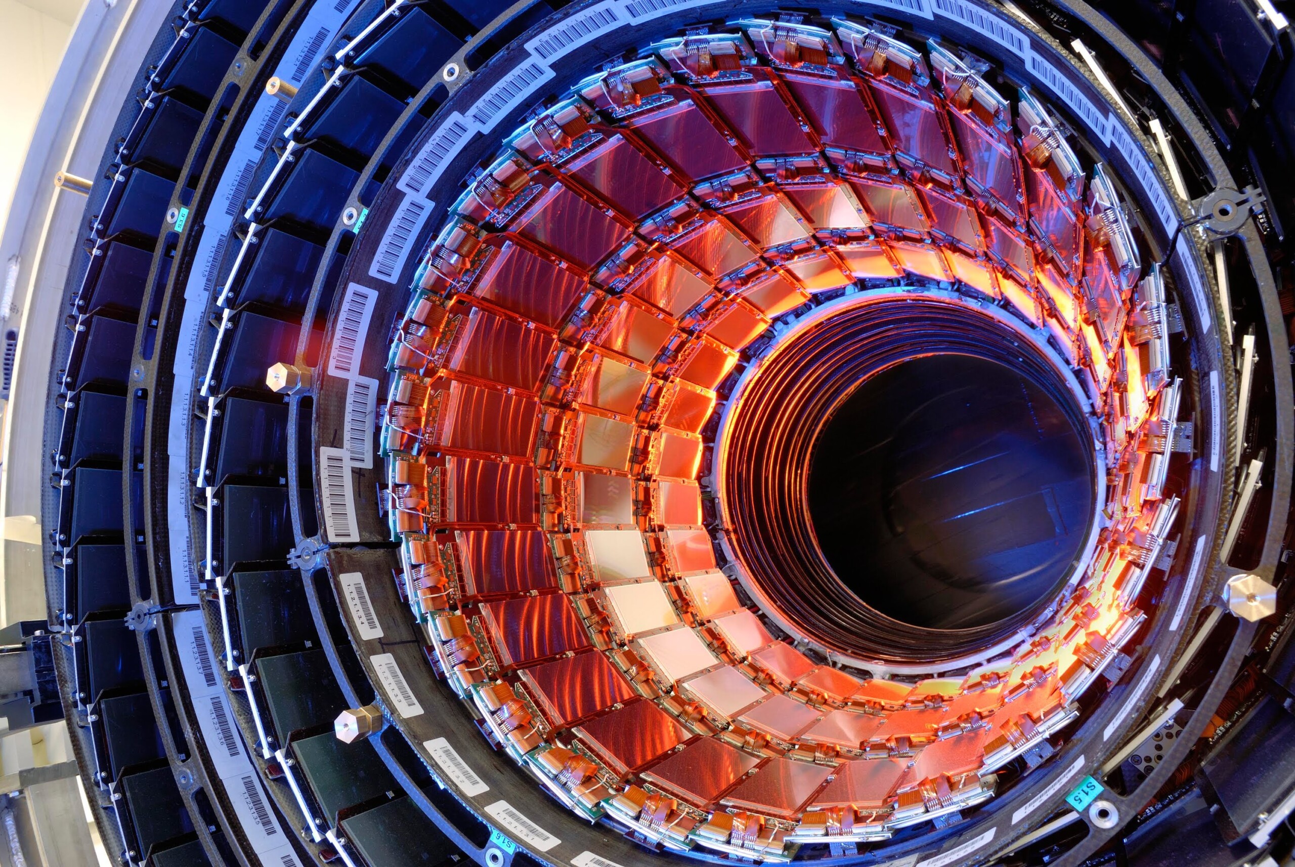 El CERN vuelve a estar en línea con Iris ID ADISES